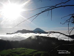 Pemandangan Cantik dari Perbukitan Dieng