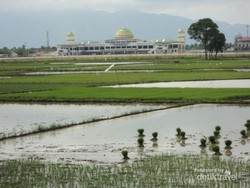 Pemandangan Hijau di Bandara Sultan Iskandar Muda