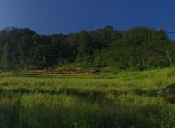 Pemandangan Indah & Curug Cantik Ini Ada di Pekalongan!