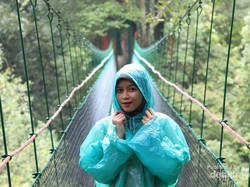 Pemandangan Indah dari Canopy Trail Cilawen