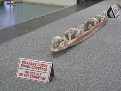 Pemandangan Menakjubkan di Bandara Timika