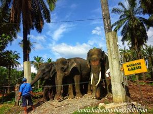 Penat? Yuk Intip yang Hijau dan Segar di Sini
