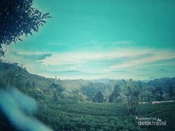 Pendakian Menantang Menuju Puncak Gunung Ciremai