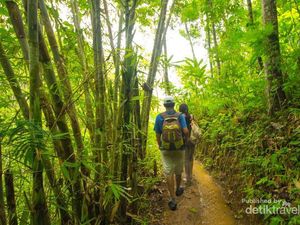 Pengalaman Menarik di Curug Gandu, Kulon Progo