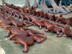 Pengalaman Menegangkan Bersama Komodo
