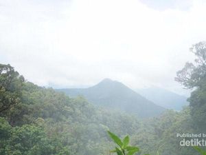 Pengalaman Pertama Mendaki Gunung Pangrango via Cibodas