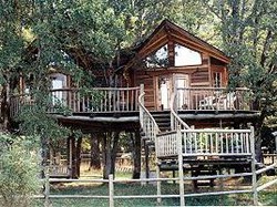 Penginapan Rumah Pohon, Seakan Kembali ke Masa Kecil