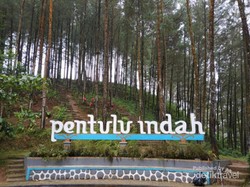 Percaya Nggak, Kebumen Punya Tempat Secantik Ini?