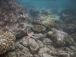 Perjalanan di Banda Aceh yang Membekas di Hati