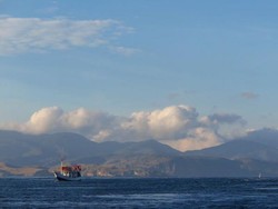 Perjuangan Mencari Komodo di Alam Liar