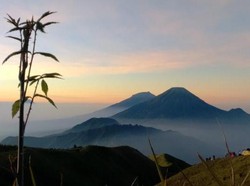 Perjuangan Menikmati Sunrise di Puncak Gunung Prau