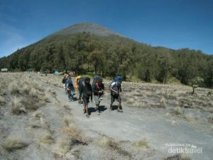 Perjuangan Selamatkan Pendaki di Blank 75, Semeru