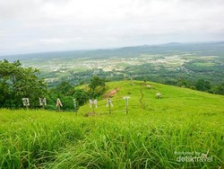 Pesona Alam Bukit Tamiang di Kalimantan