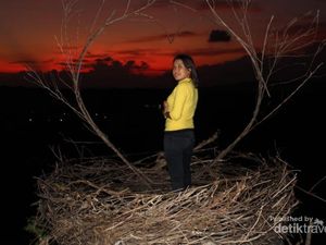 Pesona Bukit Cinta Oenali di Malam Hari