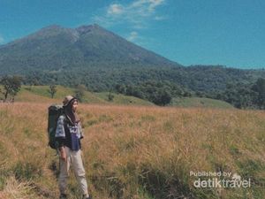 Pesona Bukit Savana Propok di Lereng Gunung Rinjani