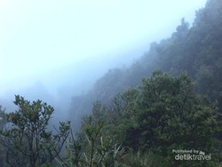 Pesona Gunung Papandayan yang Tak Pernah Pudar