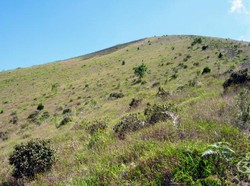 Pesona Padang Savana di Gunung Guntur