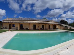 Pesona Panorama Perkebunan Sicilia di Italia