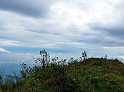 Pesona Sabana di Puncak Gunung Prau