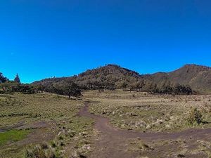 Pesona Sabana Gunung Lawu via Candi Cetho