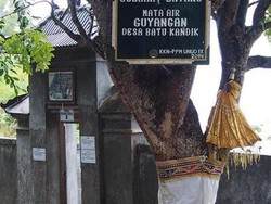 Petualangan Epik Menuju Mata Air Guyangan di Bali