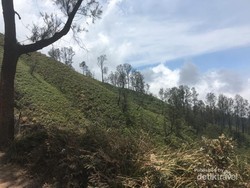 Petualangan Luar Biasa ke Gunung Ijen