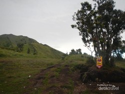 Petualangan Mendaki Gunung Merbabu Lewat Jalur Selo
