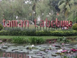 Piknik Akhir Pekan di Jakarta Selatan