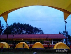 Piknik detikTravel yang Tak Terlupakan di Bogor