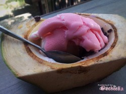 Pilihan Destinasi Liburan Singkat di Pontianak