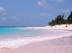 Pink Sands Beach, Pantai yang Romantis di Bahama
