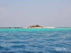 Pulau Badul di Ujungkulon, Serasa Milik Pribadi