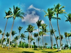 Pulau Bira Nan Eksotis di Kepulauan Seribu