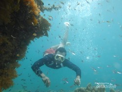 Pulau Cantik di Raja Ampat Ini Belum Banyak Orang Tahu