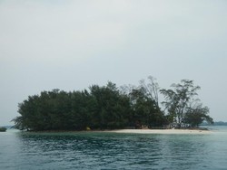 Pulau Dolphin di Kepulauan Seribu, Masih Perawan