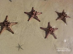 Pulau Granit di Belitung yang Mempesona