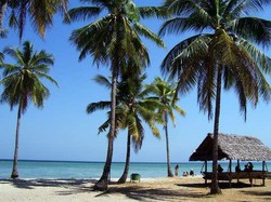 Pulau Hoga, Kecantikan Sempurna dari Sulawesi Tenggara