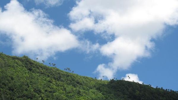 Pulau Kei Besar dan Pesonanya