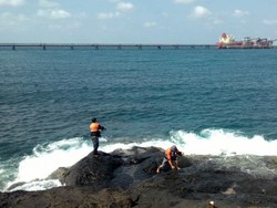 Pulau Laut, Cuma ada di Kalimantan Selatan