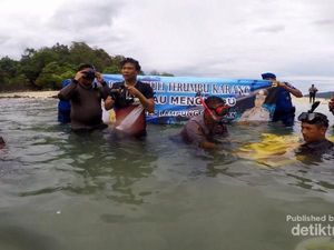 Pulau Mengkudu, Bangkit Pasca Tsunami