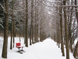 Pulau Nami, Merasakan Romantisme ala Film Winter Sonata
