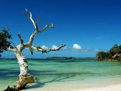 Pulau Ndao, Keindahan Ala Negeri Dongeng di NTT