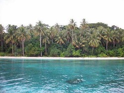 Pulau Owi, Kecantikan Tersembunyi di Timur Biak, Papua