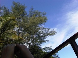 Pulau Pantara, Surga Terpencil di Utara Jakarta