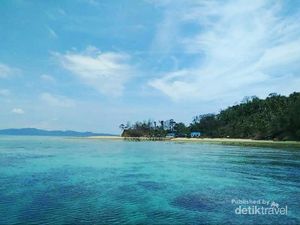 Pulau Pasoso, Rumahnya Penyu Hijau