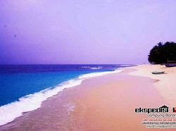 Pulau Pisang, Surga Bawah Laut di Lampung