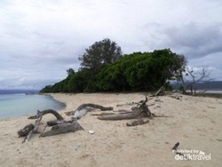 Pulau Pombo, Surga Tak Berpenghuni di Ambon