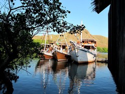 Pulau Rinca, Sarang Sang Naga Purba