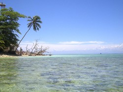 Pulau Tikus, Si Mungil nan Cantik dari Bengkulu