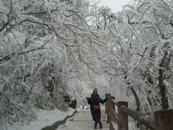 Puncak Emas dan Winter Wonderland di Gunung Emei China